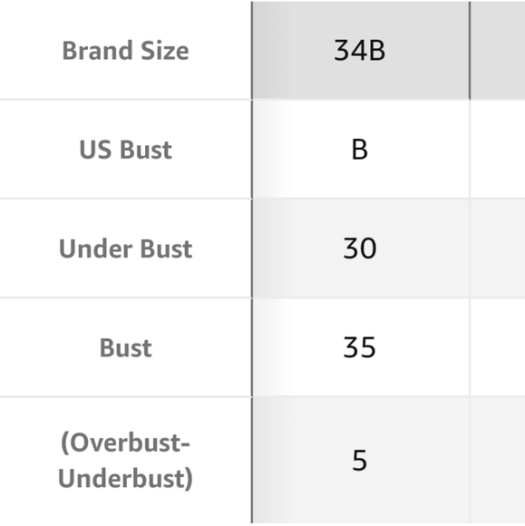 NWT ELEPLUS Seamless "No Wire, No Show" Comfort Bras - Picture 9 of 9